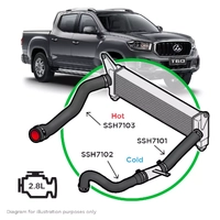 Silicone I/Cool Black 3 Pipe Kit LDV T60 2.8 2017-21