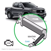 Silicone I/Cool Black Pipe Cold 1 LDV T60 2.8 2017-21