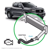 Silicone I/Cool Black Pipe Cold 2 LDV T60 2.8 2017-21